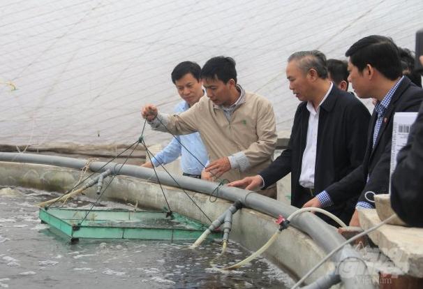 Aquaculture accelerates to seize opportunities