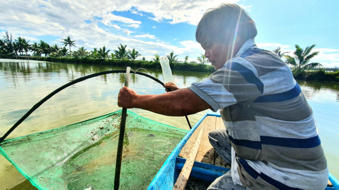 Limiting environmental pollution by intercropping with aquatic species