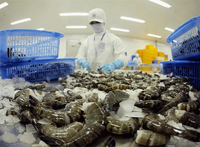 Vasep: No COVID-19 infections at shrimp and pangasius processing factories in the Mekong Delta