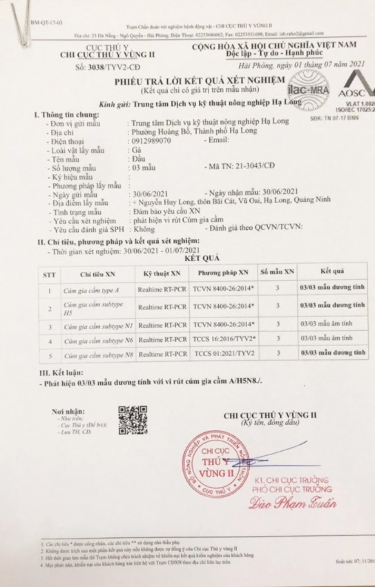 Avian influenza strain appears for the first time in Vietnam