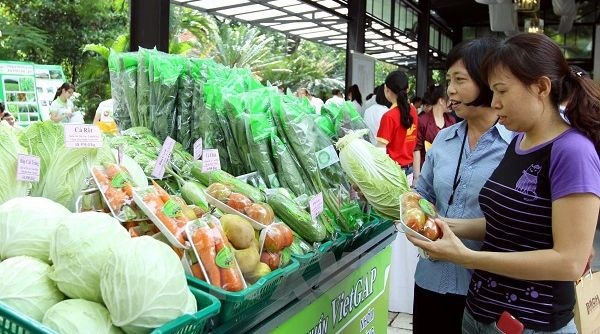 2021-2025 period: Hanoi will support the development and construction of 50 agricultural production linkage chains
