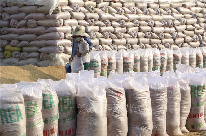 World agricultural markets last week: Rice prices from leading exporting countries all fell