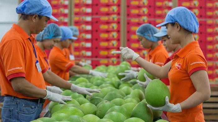 Despite the pandemic, agricultural exports increased sharply towards the target of 45 billion USD