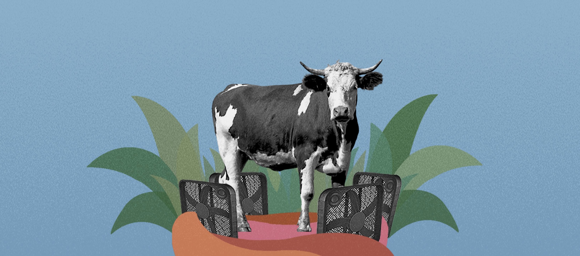 What is chilled meat?