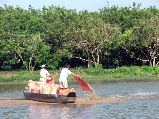 Total seafood export turnover is estimated at 4 billion USD
