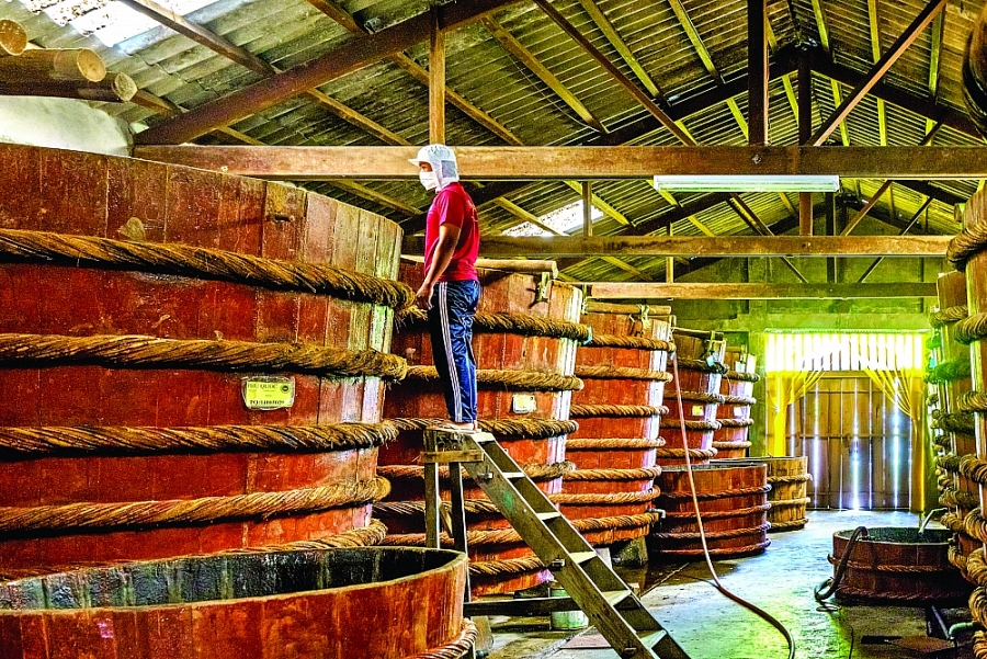 Application of microbiological technology: reducing histamine in traditional fish sauce