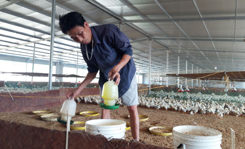 Management and use of veterinary drugs: "Tighten" management, increase inspection and propaganda