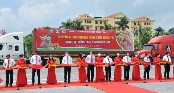The conference on connecting supply and demand, consumption of longan and agricultural products of Hung Yen 2021