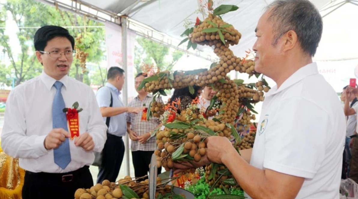 The first 3 tons of longan are ready to be exported to Europe