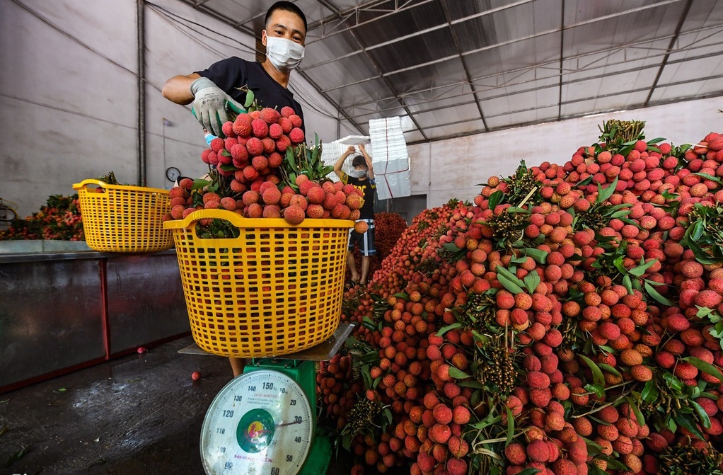 The agricultural sector will exceed the growth target assigned by the Government