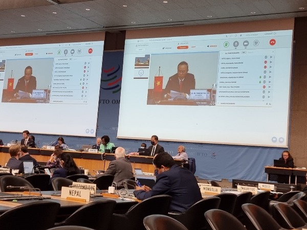 Vietnam attends the Ministerial Conference on Fisheries Subsidies Negotiations