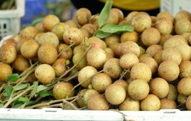 Thousands of tons of fruit prices drop, waiting for traders to buy