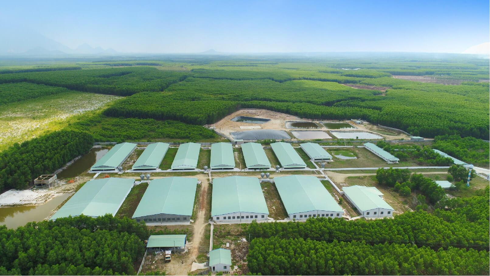 NOVA CONSUMER FOCUSES ON PROMOTING THE FARM SECTOR